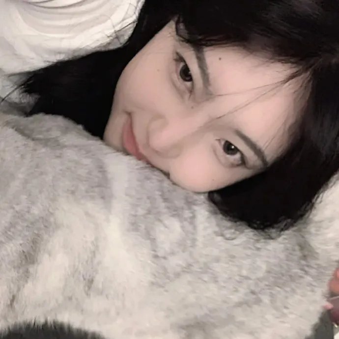 阿玛迪斯